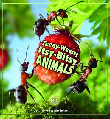 Teeny-Weeny Itsy-Bitsy Animals - The Literacy Tower (Paperback)