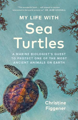 My Life with Sea Turtles: A Marine Biologist's Quest to Protect One of the Most Ancient Animals on Earth (Hardback)