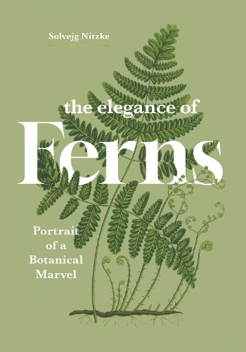Greystone Books,Canada The Elegance Of Ferns