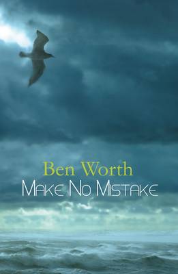 Make No Mistake (Paperback)