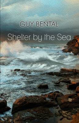 Shelter by the Sea (Paperback)