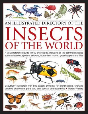 Illustrated Directory of Insects of the World: A Visual Reference Guide to 650 Arthropods, Including All the Common Species Such as Beetles, Spiders, Crickets, Butterflies, Moths, Grasshoppers and Flies (Paperback)
