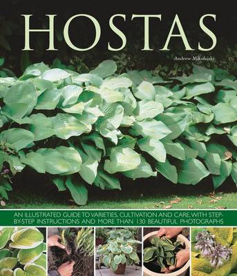 Hostas: an Illustrated Guide to Varieties, Cultivation and Care, with Step-by-step Instructions and More Than 130 Beautiful Photographs (Paperback)