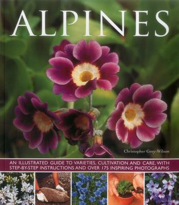 Alpines (Paperback)