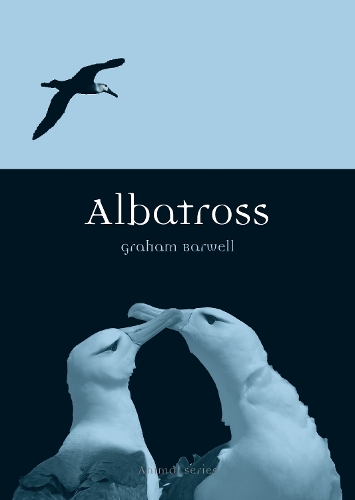Albatross - Animal Series (Paperback)
