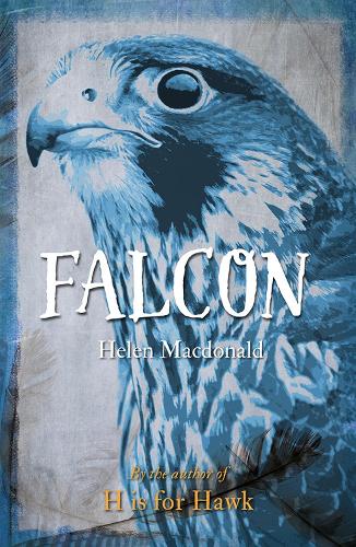 Helen Macdonald Falcon