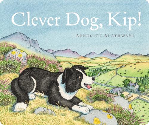 clever canine clever canidae