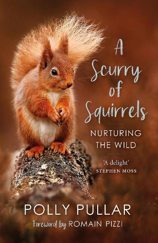 A Scurry of Squirrels: Nurturing The Wild (Paperback)