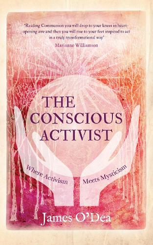 Conscious Activist (Paperback)