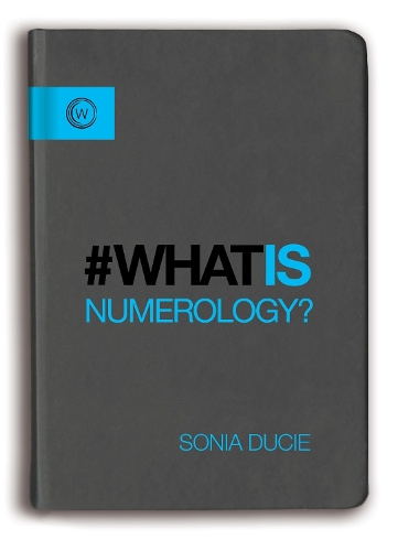 What Is Numerology? (Paperback)