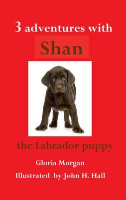 Three Adventures with Shan (Paperback)