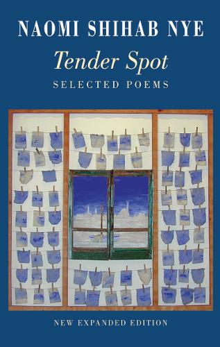 Tender Spot: Selected Poems (Paperback)