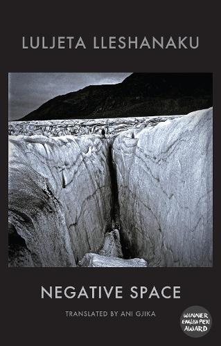 Negative Space (Paperback)