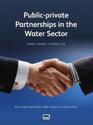 Public-private Partnerships in the Water Sector: From Theory to Practice (Paperback)