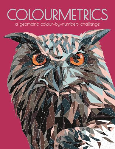 Colourmetrics: A Geometric Colour by Numbers Challenge (Paperback)