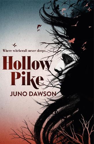 Hollow Pike (Paperback)