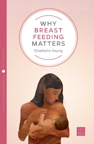 Why Breastfeeding Matters - Pinter & Martin Why it Matters (Paperback)