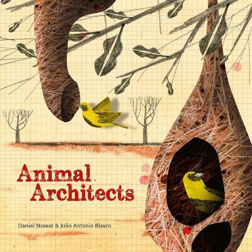 Animal Architects: The brilliant builders of the animal kingdom (Hardback)
