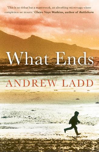 What Ends (Paperback)