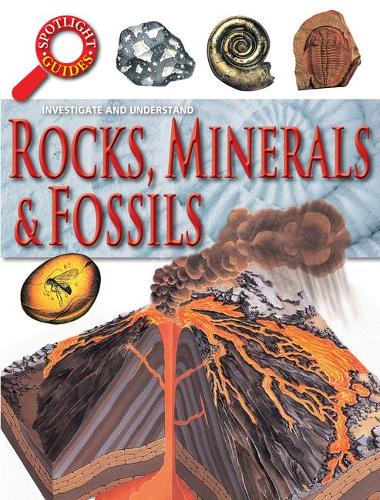 Rocks & Fossils (Paperback)