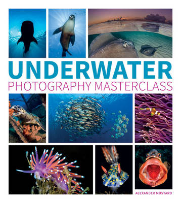 Underwater Photography Masterclass - A Mustard
