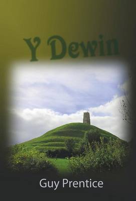 Y Dewin (Hardback)