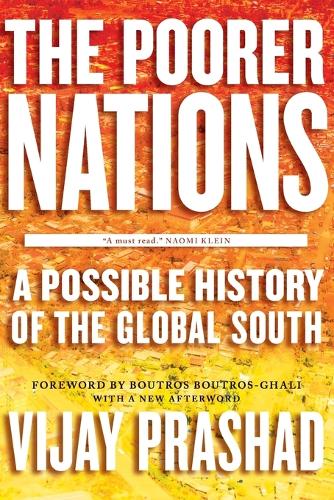The Poorer Nations: A Possible History of the Global South (Paperback)