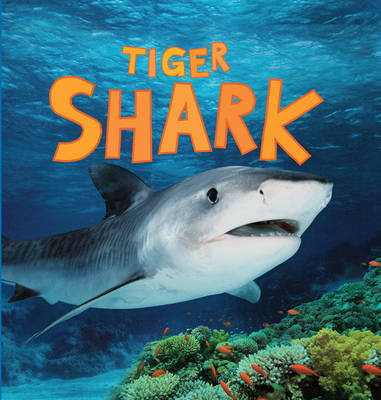 Discover Sharks: Tiger Shark - Discover Sharks (Hardback)