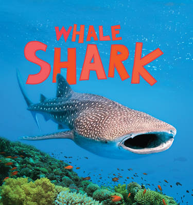 Discover Sharks: Whale Shark - Discover Sharks (Hardback)