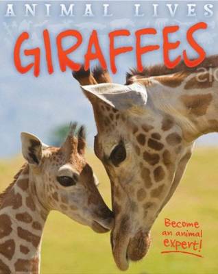 Animal Lives: Giraffes - Animal Lives (Hardback)
