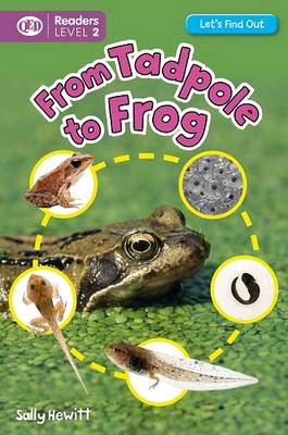 Let's Find Out: Tadpole to Frog (Paperback)
