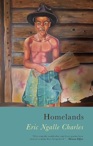 Homelands (Paperback)