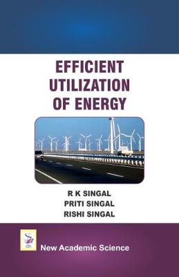 Efficient Utilization of Energy (Hardback)