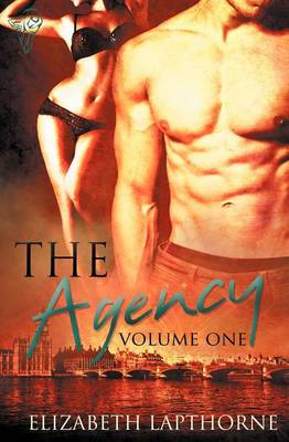 The Agency: Vol 1 (Paperback)
