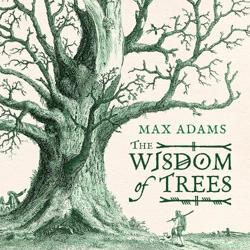 The Wisdom of Trees: A Miscellany (Hardback)