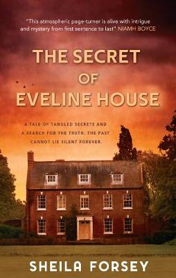 The Jeweler's Wife (Paperback)