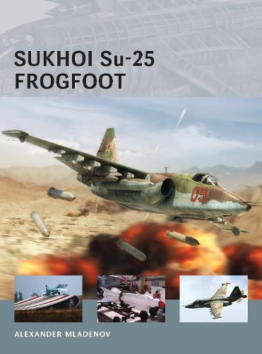Sukhoi Su-25 Frogfoot - Air Vanguard (Paperback)