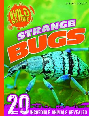 Wild Nature: Strange Bugs (Paperback)