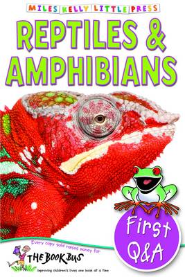 Reptiles & Amphibians - Little Press (Paperback)