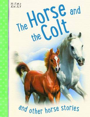 Horse & The Colt (Paperback)