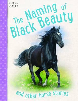 Naming Of Black Beauty (Paperback)