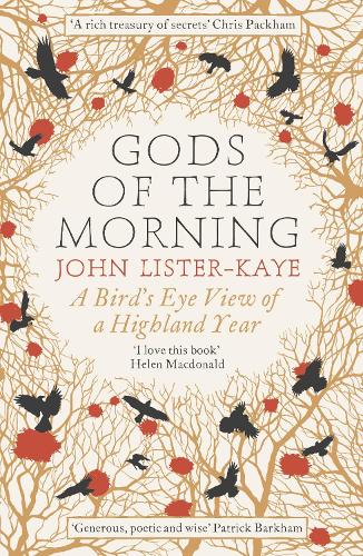 Gods of the Morning: A Bird’s Eye View of a Highland Year (Paperback)