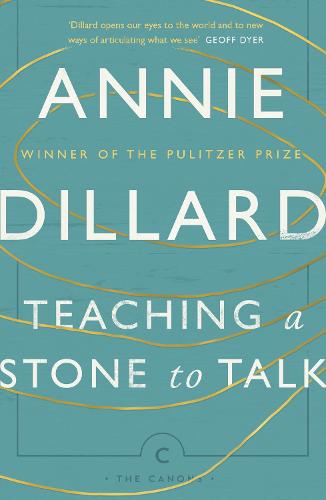 Cover of Teaching a Stone to Talk
