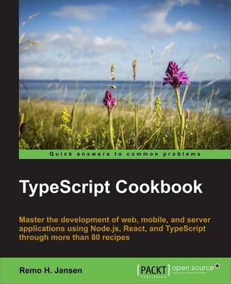 TypeScript Cookbook (Paperback)