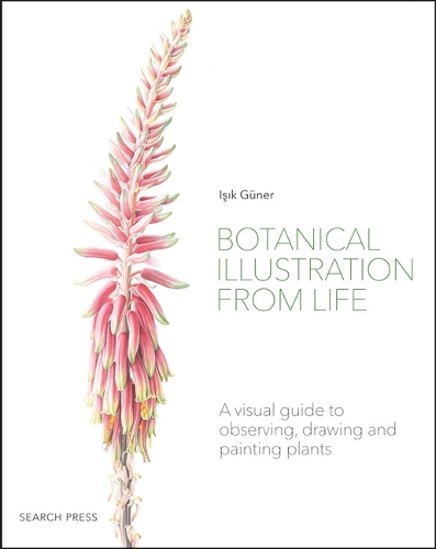 Botanical Illustration from Life: A Visual Guide to Observing, Drawing and Painting Plants (Paperback)