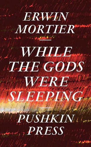 While the Gods Were Sleeping (Hardback)