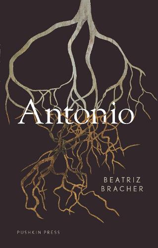 Antonio (Paperback)