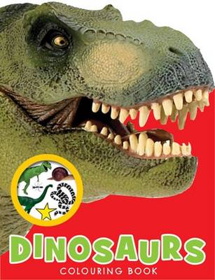My Dinosaur Backpack - Boy and Girl Colouring and Sticker Books Series 2 (Paperback)