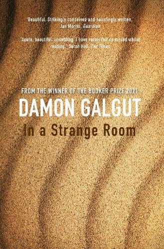 the promise damon galgut book review
