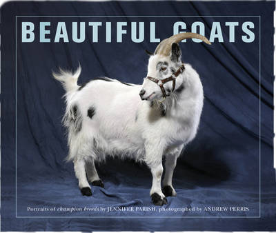 Beautiful Goats: Portraits of Classic Breeds Preened to Perfection - Beautiful (Paperback)